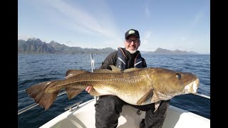 Angeln in Norwegen Lofotbrygga Brettesnes  Heilbutt Großdorsch und Pollack auf den Lofoten [upl. by Notsgnal]