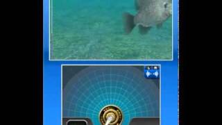 Fish Eyes 3D Video [upl. by Nosa]