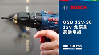 新 博世12V無刷震動電鑽  Bosch GSB 12V30 Professional [upl. by Andreas]