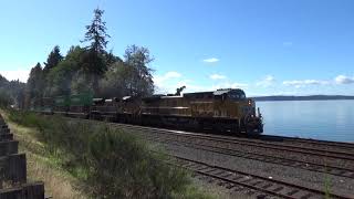 Northbound Union Pacific Intermodal Train passes through Steilacoom WA [upl. by Patience436]