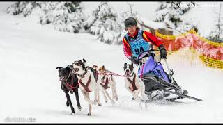 Schlittenhunderennen Frauenwald 1718022018 Deutsche Meisterschaft Sprint [upl. by Pretrice]