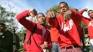 Baby Meech  Land Of The Brims Official Video [upl. by Decato]