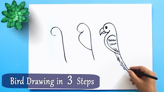 Parrot Bird Drawing Tutorial in 3 Simple Steps ✅ How to Draw a Parrot in 3 Easy Step by step [upl. by Honan773]