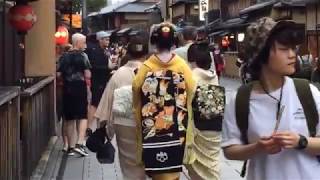 Ep 1 Geishaspotting In search of geisha and Maiko in the Gion district of Kyoto Japan [upl. by Gan26]