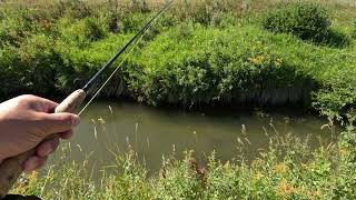 Fly Fishing SW Sask [upl. by Autrey888]