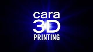 cara Print 40 [upl. by Sarson582]