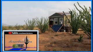 an Ocotillos Garden in the shade and a good Monsoon  AZ OffGrid Unplugged [upl. by Artenak]