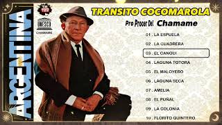 ⭐​⭐​⭐​​ TRANSITO COCOMAROLA ⭐​⭐​⭐​ PROCER DEL CHAMAME ⭐​⭐​⭐​ GRANDES EXITOS DE ORO ⭐​⭐​⭐​ [upl. by Hambley]