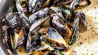 MUSSELS In AMAZING Tarragon CREAM SAUCE [upl. by Aik262]