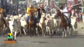 Cattle Drive Rodeo Festival 2014 [upl. by Strep73]