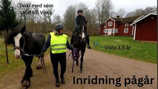 Inridning pågår  skrittar med Viola och rider Indra amp Trudi [upl. by Chassin]