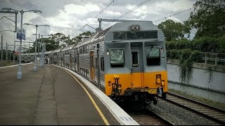 Sydney Trains Vlog 1295 Narwee [upl. by Zebaj610]