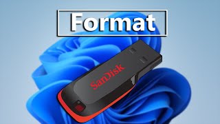 How To Format USB Flash Drive In Windows 11 [upl. by Moira]