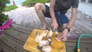 Cooking Conch [upl. by Latoya]