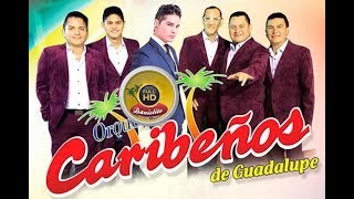 MIX CARIBEÑOS DE GUADALUPE  RECORDANDO SUS ÉXITOS DE ORO  Danielito HD VIDEOS [upl. by Bernelle]