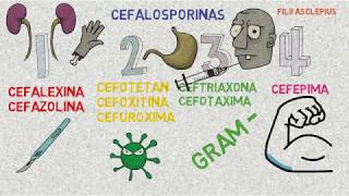 Cefalosporinas [upl. by Luella]