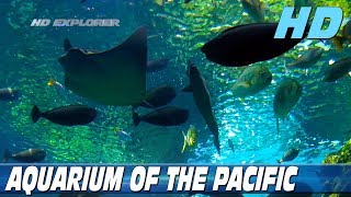 Aquarium of the Pacific Long Beach  California [upl. by Alika]