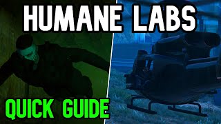 Gta 5 Humane Labs Raid Heist Guide [upl. by Amiarom]