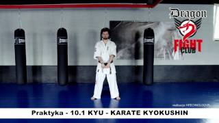 Wymagania egzaminacyjne dla dzieci do lat 14  Karate KYOKUSHIN  PRAKTYKA  Stopień 101 KYU [upl. by Yrolg525]