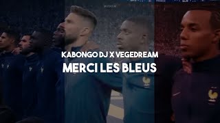 KABONGO DJ X VEGEDREAM  Merci les bleus Tradução PTBR [upl. by Longawa]