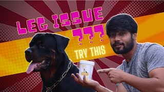 Best affordable Joint Supplement to fix Leg Issue in Dogs  Megaflex and Pet Joint  Chatty Rotty [upl. by Ahsyia547]