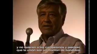 Cesar Chavez Speaks at the National Museum of Mexican Art [upl. by Gnuhp]