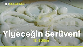 Peynir  Yiyeceğin Serüveni  TRT Belgesel [upl. by Eocsor]