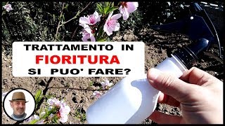 TRATTAMENTO IN FIORITURA si può fare [upl. by Urion]