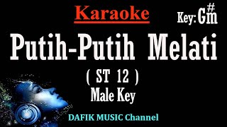 Putih Putih Melati Karaoke ST 12 Nada Pria Cowok Male key Gm [upl. by Atenik701]