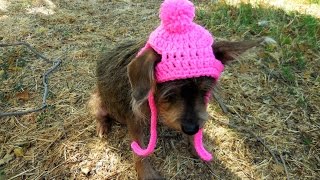 How to Crochet a Small DogCat Beanie [upl. by Bruni]