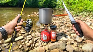 Eating ONLY What I Catch for 24 Hours Creek Fishing [upl. by Dorise829]