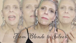 LOreal Soft Silver Blonde 2020 Hair Dye Review [upl. by Annavahs]