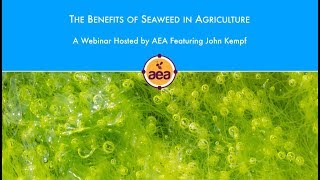 The Benefits of Seaweed in Agriculture [upl. by Ahcila246]