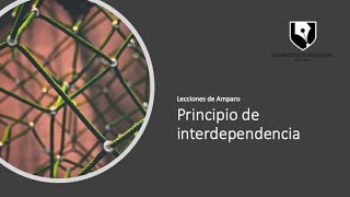 Principio de interdependencia de los derechos humanos [upl. by Trstram]