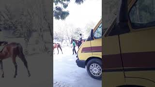 horse riding Nasr School Vlog [upl. by Gilchrist]