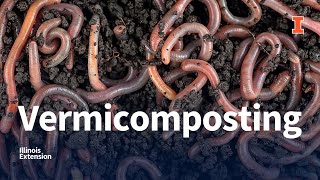 Vermicomposting Webinar [upl. by Labotsirc]