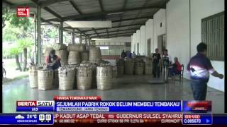 Harga Tembakau Naik [upl. by Phillip]