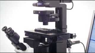 IX73 Inverted Microscope System [upl. by Lefkowitz]