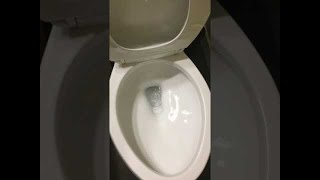 How To Fix A Double Flushing Toilet [upl. by Namyac827]