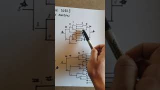 sistema de eliminación doble con 5 8 12 y 15 equipos [upl. by Haeel]