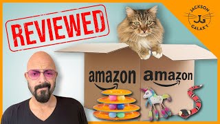 Cat Expert Reviews Bestselling Cat Toys on Amazon [upl. by Anoid]