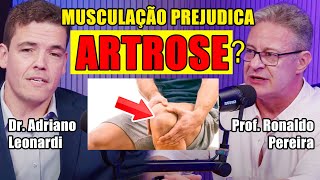 Musculação AGRAVA ou MELHORA a Artrose Live [upl. by Hymie]