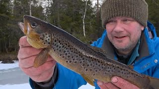 Markfiske på senvinteren [upl. by Yojenitsirk]