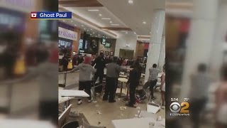 Brawl At Roosevelt Field Mall [upl. by Fasta41]