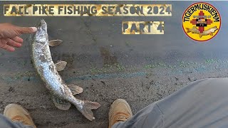 FALL PIKE FISHING SEASON 2024 PART 4 [upl. by Llenna]