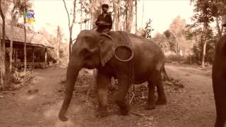 Mahout — Bunong — Mondolkiri [upl. by Mart]