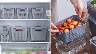 Best Storage Containers for Fridge 2020 Must Have for Your Kitchen Home [upl. by Eidurt199]