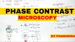 Phase contrast microscopy  Principle  Mechanism  Advantages and disadvantages [upl. by Latsyrk55]