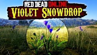 RDR2 Violet Snowdrop locations in Red Dead Online [upl. by Semela]