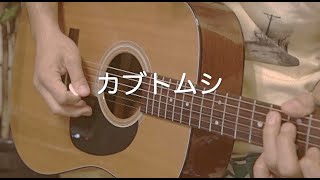 カブトムシaiko ギター弾き語りcover 男性キー [upl. by Anrehs425]